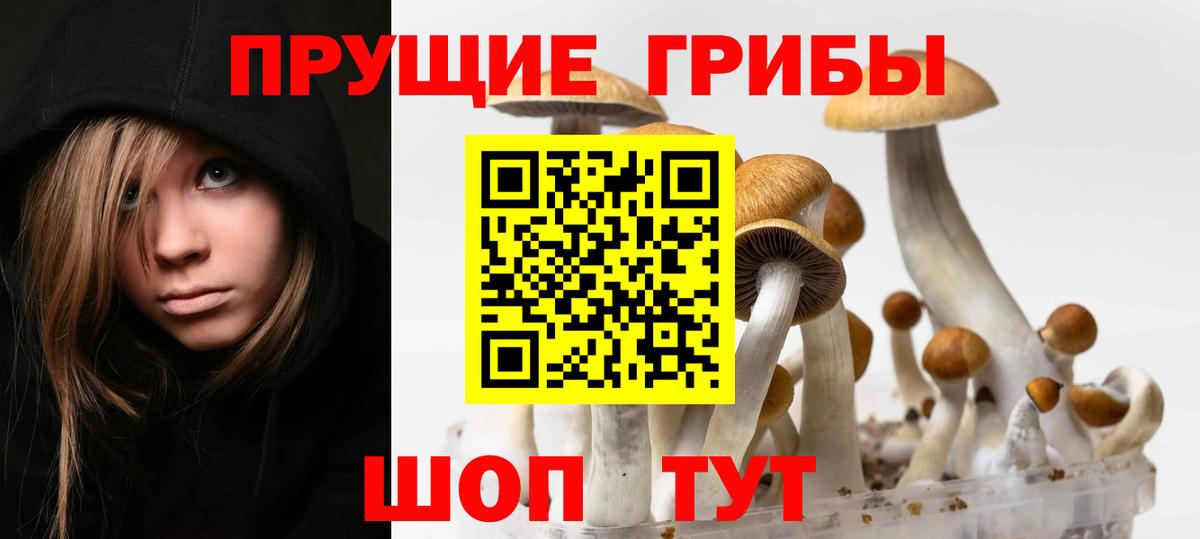 Галлюциногенные грибы прущие грибы  Вход с VPN  где можно купить наркотик  Клин 